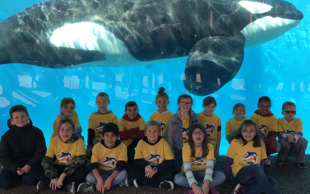Students See SEA Creatures Like Never Before