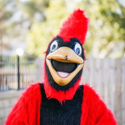 Red Fred
